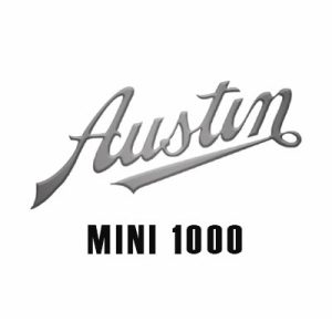 Mini 1000